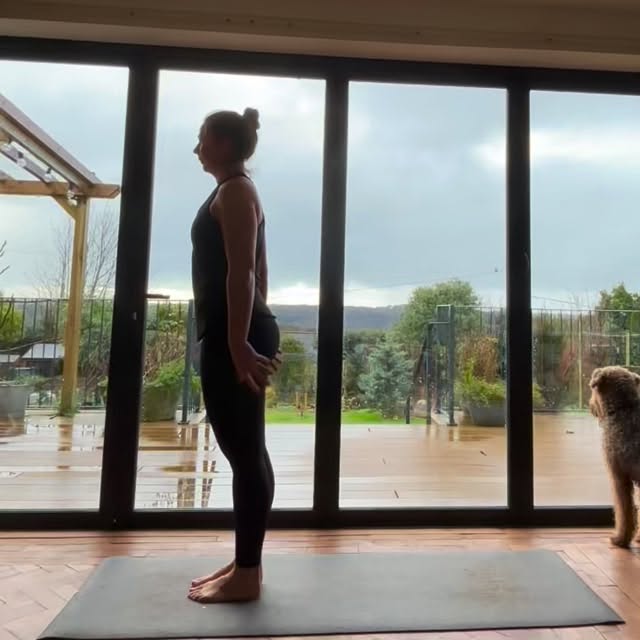 Something to keep you busy whilst I’m away, feel really long, open and expansive while you flow, hope you enjoy 😊
No classes this week, back to normal on the 9th February
.
.
#plymflowyoga #yoga #yogapractice #flowyoga #vinyasa #vinyasaflow #yogaclass #plymstock #plymouth #yealmpton #yealmptoncommunitycentre #brixtondevon #southhams #devon #yogaworkshop #yin #meditation #yogaflow