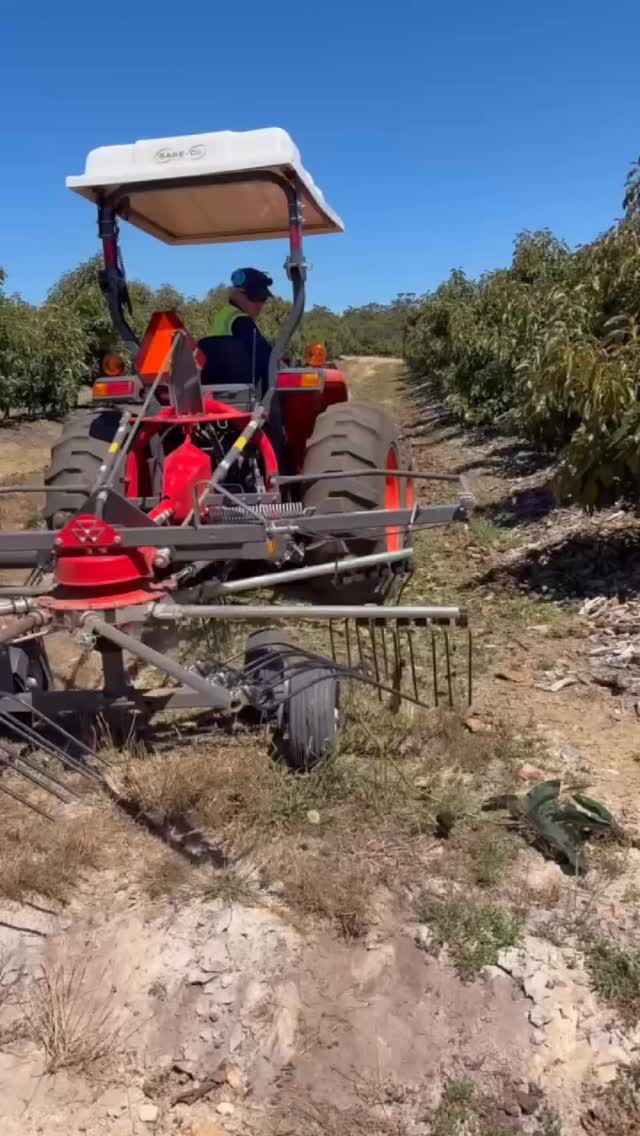 Think rotary rakes are only for hay?
Think again.
The Massey Ferguson rotary rake range is built for clean, efficient raking with the flexibility to support a wide range of farming and horticulture operations.
Key benefits include:
✅ consistent, tidy windrow formation
✅ gentle handling of light material
✅ adjustable working height to suit uneven terrain
✅ durable tine design for seasonal productivity
✅ reliable performance across changing conditions
That versatility makes rotary rakes ideal for more than forage — including orchard and horticulture inter-row management, such as:
🍃 raking fallen leaves
🌱 gathering mulch material
🌿 handling light, mulched prunings between rows
✨ keeping inter-rows clean, accessible, and well-managed
In this video, an MF RK341 is working locally in an avocado orchard, showing just how effective a rotary rake can be beyond traditional hay applications.
A big thank you to Duncan, Phillip, and the Carpenters Beedelup group for their support with this recent purchase — it’s great to see the machine already making a difference on-farm!
📍Local conditions matter — dusty soils, wet ground, and varying terrain can affect tine wear and maintenance requirements.
Before regular operation or seasonal prestart:
✔ inspect tines, guards, and fasteners
✔ grease PTO and rotor lubrication points
✔ adjust working height for your orchard rows and ground conditions
The right rake, the right setup, the right results.
Come in to Southern Forest Machinery for more information on equipment to suit your requirements!
#MasseyFerguson #mfrk341 #Avocado #mfborntofarm #manjimup