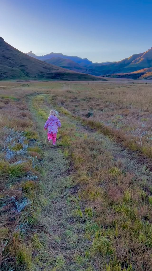 If your idea of a holiday is fresh mountain air, wild open spaces, and total peace, then Giants Cup Wilderness is calling. ✨
Think dramatic Drakensberg peaks, crystal-clear rivers, endless hiking trails, and nights so quiet you can hear the stars. 🌌
No crowds. No noise. Just nature doing what it does best—resetting your soul.
Whether you’re chasing adventure, quality time, or a proper digital detox, this is the kind of place you leave feeling lighter than when you arrived. 💚
📍Giants Cup Wilderness – where you slow down and breathe again.
#giantscupwilderness #drakensberg #natureescape #mountainmagic #getoutside