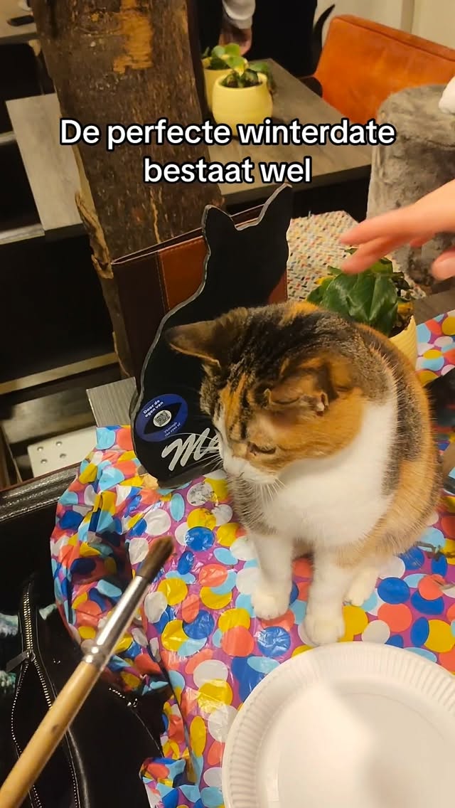 De gezelligste winterdate van Alkmaar staat klaar
Op 8 februari organiseren we onze eerste Collage Workshop tussen katten
Creativiteit, cozy vibes en tien katten die alles nóg leuker maken
Plekken zijn beperkt en gaan snel
Schrijf je in via de link in bio