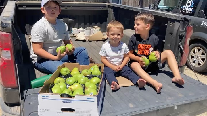 One of our favorite times of the year is in full swing, pear season! 🍐Robby Precissi alongside dad, Paul Precissi, was able to tour the Rivermaid Trading Company pear packing facility this summer. He learned all about the different varieties, packing styles and techniques and wanted to share with you all.
Did you know that California growers are committed to never treating their pears with anti-ripening shelf-life extending chemicals? This means they are the freshest pears you can find. But you’ve gotta catch them while you can!
California pear farmers produce approximately 150,000 tons each year between 3 counties, Sacramento, Lake and Mendocino. Most pear orchards in California are over 100 years old and have been producing beautiful fruit since their original plantings. We hope to see these trees produce for another 100 years, so please support the California pear growers this summer!
#californiaagriculture #californiaag #myjobdependsonag #pear #grower #farm #agriculture #californiafarmer #sacramento #lakecounty #mendocino