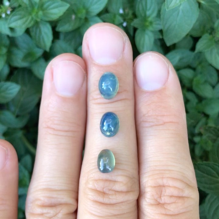 Cabochons de saphirs d’Auvergne
De haut en bas :
1 : Saphir d’Auvergne taille cabochon ovale 2,68ct | dimensions : 8,20 x 6,20mm H : 4,90mm | naturel, non chauffé, non traité
2 : Saphir d’Auvergne taille cabochon ovale 2,23ct | dimensions : 7,81 x 5,94mm H : 4,39mm | naturel, non chauffé, non traité
3 : Saphir d’Auvergne taille cabochon ovale 1,31ct | dimensions : 7,24 x 5,30mm H : 2,91mm | naturel, non chauffé, non traité
Prix sur demande
#saphirauvergne #saphirauvergne #frenchsapphire #saphirfrançais #naturalgem #naturalgemstone #cabochon #sapphirecabochon #handmadejewelry #pierresethiques #gemme #gemmes #saphir #sapphire #fairmined #ethicalgemstones #ethicalgems #facetron #ethicaljewelry #naturalsapphire #unheatedsapphire #minetomarket #teal #tealsapphire #saphirteal #gemstonetraceability #exceptionalgemstones