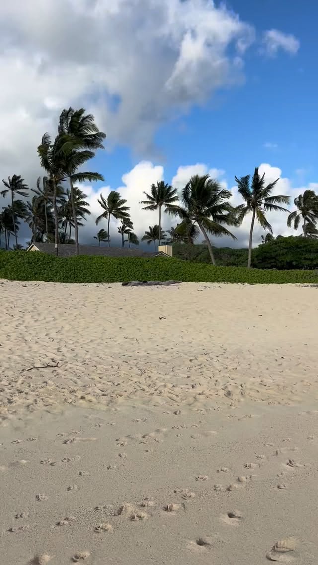 Get your keiki out there! 🌊☀️
If you have some free time today, swing by Kailua Beach. Conditions are 💎👌🏽! With the southwest Konas we are getting beautiful offshore conditions on the windward side. Perfect day to practice your aquatic skill in the water or just allow your keiki to experiment in a calm environment. Let them get pushed and bumped around by the small waves but be there to assist if needed. Thinks how keiki learn, especially how to handle beach environments, by actively engaging in their environment.
🔑Key Points:
• Remember always have constant eyes on your keiki. 👀 Even for highly skilled swimmers.
• Stay within an arms reach for cautious, hesitant, overconfident and unskilled swimmers.
Enjoy this beautiful day in the windward side! 🌊☀️🩵
#windward #kailua #kailuatown #kailuabeach #watersafetyhawaii