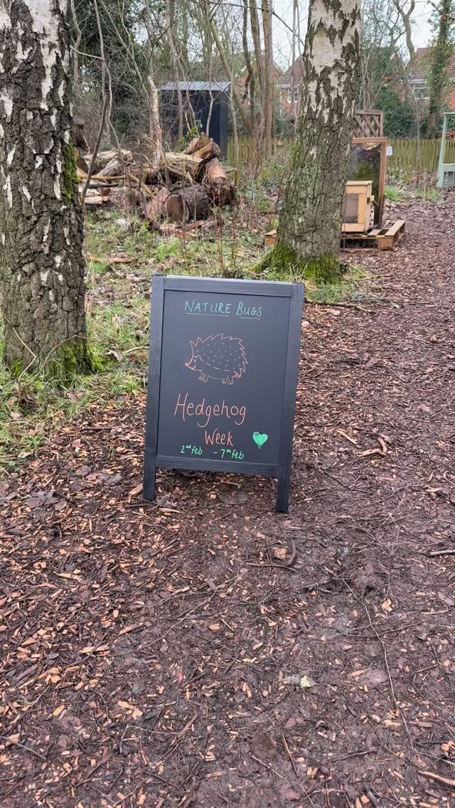 To celebrate national hedgehog day our sessions this week are all hedgehog themed!
Join us to make hedgehog bread, do some hedgehog painting and make some hedgehog homes 🦔
Feel free to message if you have any questions