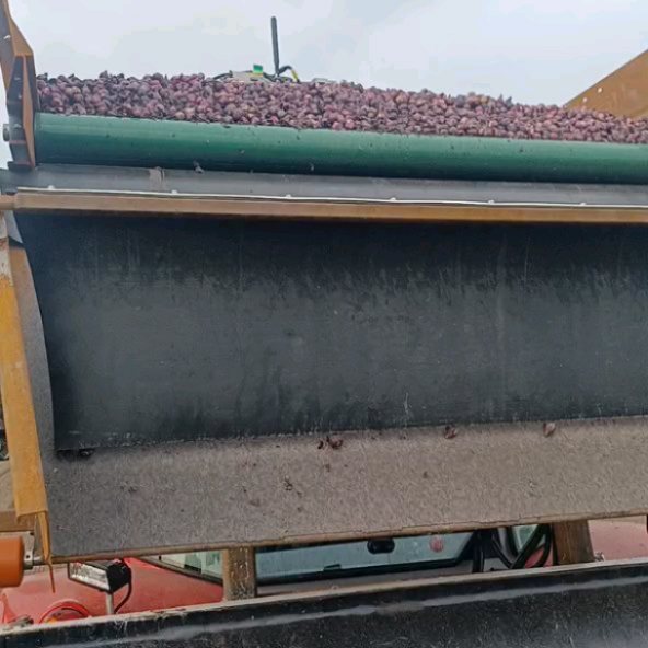 Prachtige week gehad om hyacinten te planten. Vervolgens rogge gezaaid als bescherming tegen de vorst. Beetje digestaat erover zodat het niet gaat stuiven.....we kijken alweer uit naar het voorjaar😎