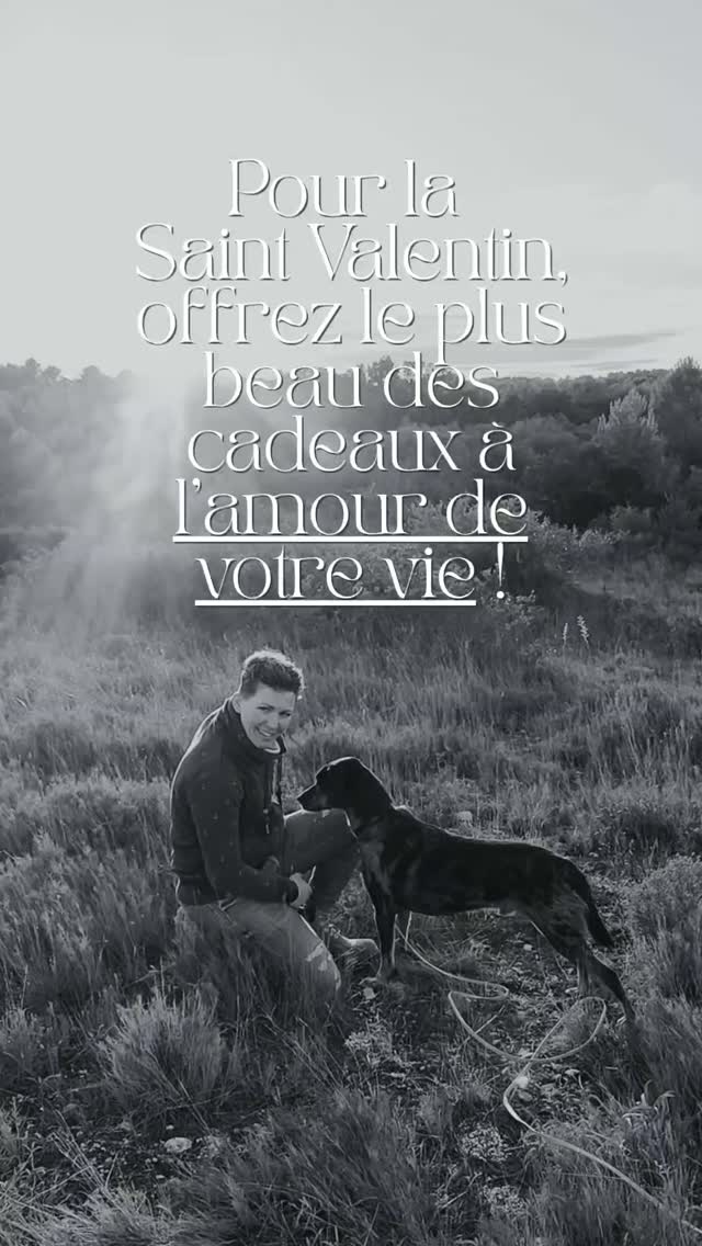 Pour la Saint Valentin, offrez le plus beau des cadeaux à l’amour de votre vie 🐾
Celui qui ne vous juge jamais, qui est toujours content de vous voir rentrer, qui vous aime fort, sans condition !
Une séance photo, ce n’est pas “juste” des images.
C’est garder une trace de cette relation unique, de ces regards, de ces gestes, de cet amour-là ✨
Les bons cadeaux sont aussi valables pour les duos humain + chien, évidemment 🤗
#photographeanimalier #dogphotography #catlovers