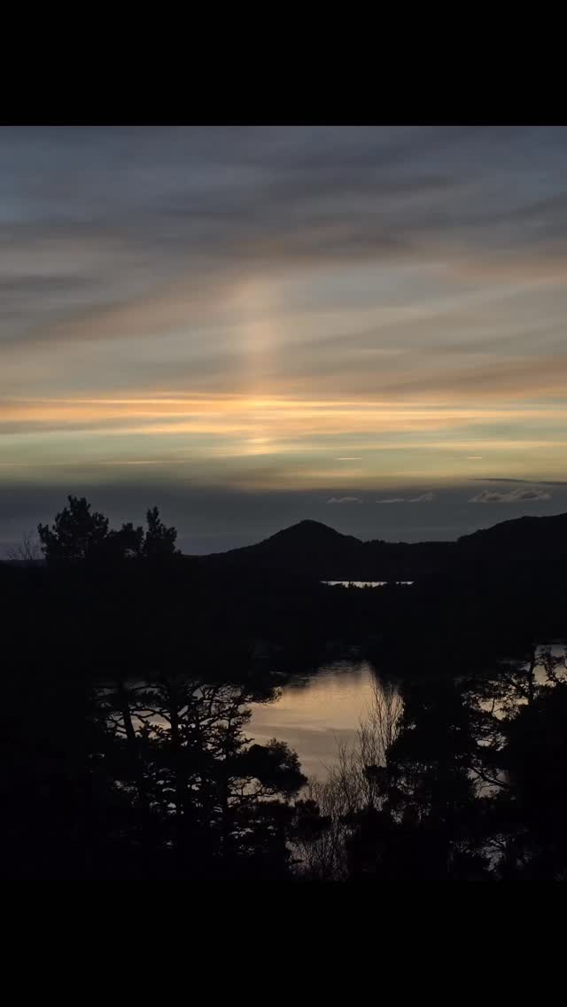 Just enjoying the evening from a bench in the norwegian forest