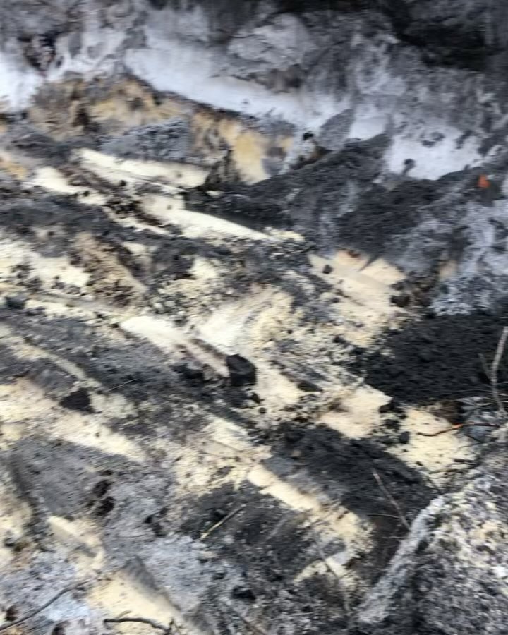 Atlantis drainage cell installation#plumber #sydneyplumber #absorption #drainagecell #stormwater #stormwatermanagement #stormwaterrunoff #stormwatersolutions