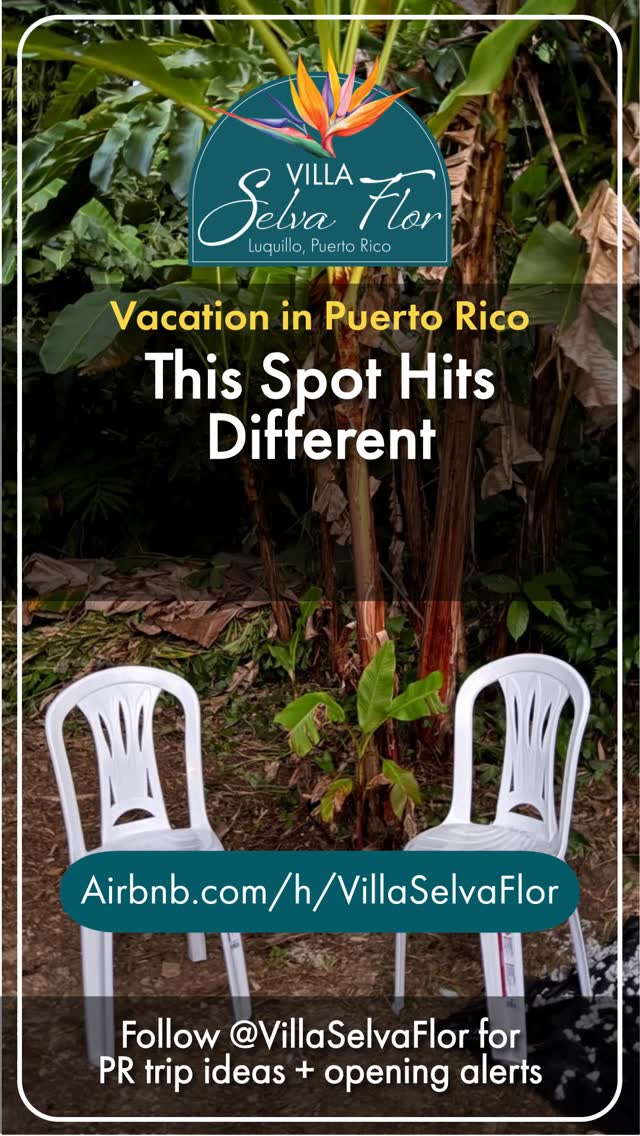 This spot hits different.
Set up on purpose. Easy to photograph. Hard to forget.
📍 Luquillo, Puerto Rico | Guest Favorite on Airbnb 🏆
Plan your escape → airbnb.com/h/villaselvaflor
#PuertoRico #PuertoRicoTravel #IslandEscape #ThisSpotHitsDifferent #VillaSelvaFlor