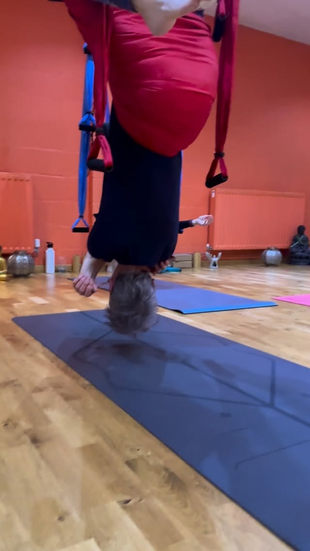 Saturday morning Aerial Yoga ✨ with @frenchlouisa
This practice shines so brightly on our grey winter mornings because it doesn’t feel like a heavy physical practice.
This is where play turns into progress.. Swinging, floating, and flipping taps into our inner child.
When we’re having fun, we naturally want to keep coming back to our swings without overthinking too much ✨
#aerialyoga#aerialyogalove#aerialyogaflow#suffolkyoga#suffolkyogastudio
