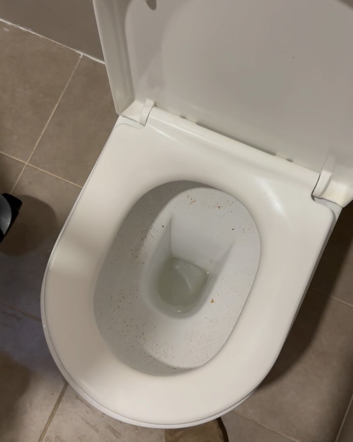 🚽Never know what you'll find in your toilet! #toiletadventures #expecttheunexpected #plumbinglife #sydneyplumber