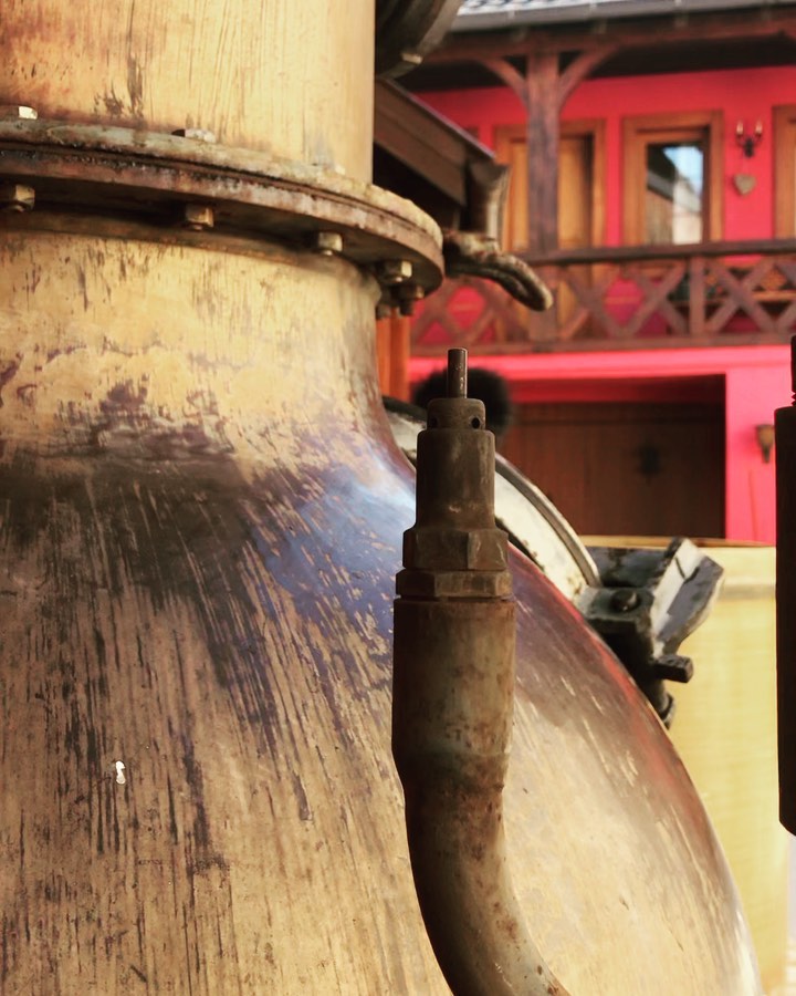 Distillation 🔥 marc de Gewurztraminer
.
.
.
#alsacerocks #alsace #drinkalsace #distillery