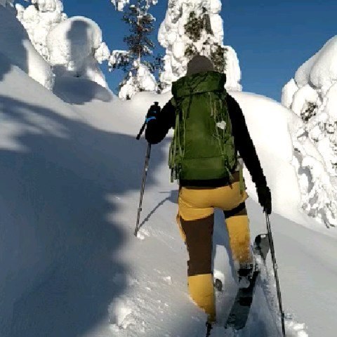 Retki Karitunturille kesti aamusta iltaan, sillä umpihankiseikkailu vei aikansa. Olemme kolunneet retkillämme monta hienoa Koillismaan kolkkaa, mutta tämä pääsee suosikkilistan kärkipäähän. Saa tänne tulla toki muutkin, sillä otamme mielellämme retkillemme mukaan seuraa. Linkki biossa ⬆️
#riisitunturinationalpark #riisitunturinkansallispuisto #karitunturi #discoverfinland #discoverlapland #metsä #metsäterapiaa @posiolapland #borealforest #skinbasedskis #liukulumikengät #umpihanki #snow #loadsofsnow❄️ #talviretkeily #kuusamo #retkeily #munpolku #mytrailnorth #lapland #thebestoffinland #thenordicmood #winterwonderland #outdoorlife #outdoorwomen #thisisfinland #visitlapland
We’ve seen many great corners of the Northeast on our trips, but this gets to the top 5. We would be happy to take you there. Link in bio ⬆️
