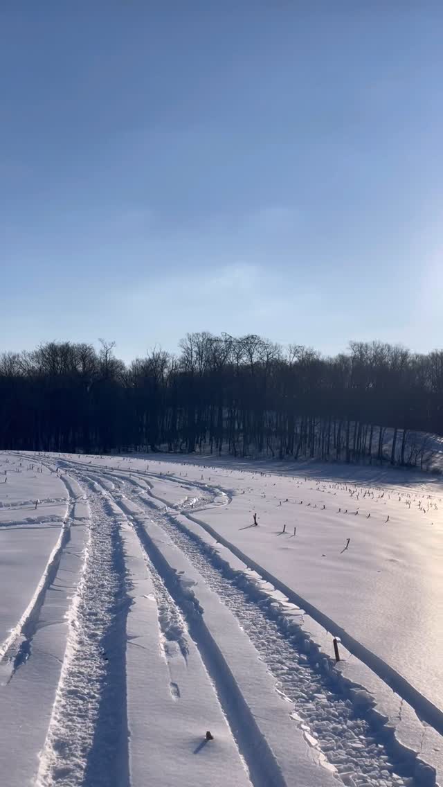 I really am not a winter person… but winter, you sure are pretty ❄️