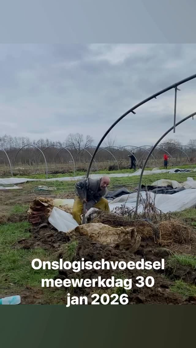 Ecologische boer in Heist op den Berg ! Kom dat proeven ! Meewerkdag 🫶🏻❤️🙏