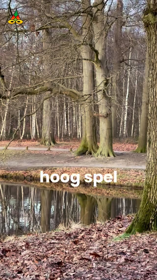 - Hoog spel
De beuk staat.
De eik buigt mee.
Dat is genoeg.
Voor @francyhurkens & Marcel
Volg het Poëziejournaal: 🎥 ✍️ 🎵
Dichterlijke reportages:
sport, kunst, koken, klussen, handel, natuur, familie, vriend, vijand en de liefde.
Hilma ten Boske & Maurice Jonkers
#poeziejournaal #spokenword
#hoogspel #natuur