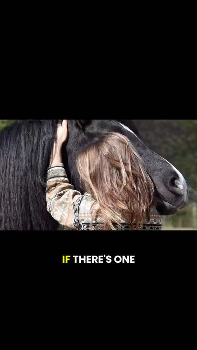 Discover the dimension that lies between our day to day life and connection, understanding, transformation.
Start the healing with horses journey -> www.bestable.nl
#horses #healing #equinetherapy #animalcommunication