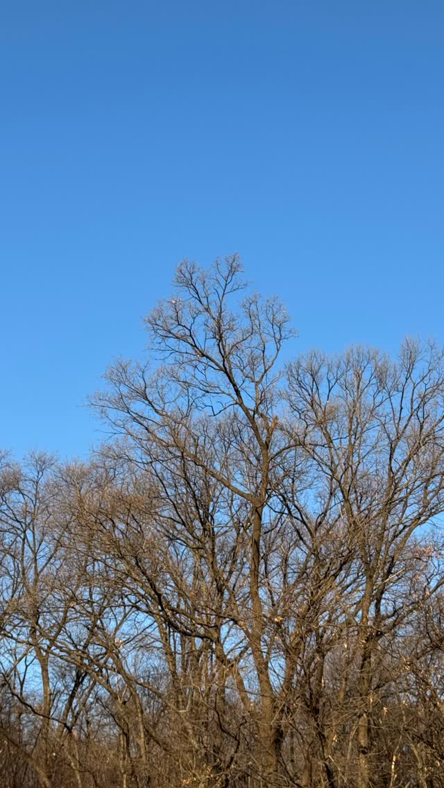 🎈
상쾌한 아침 공기를 벗삼아!
일요일을 서울에서 보내는 방법,
알렉 CPD 가는 날!
지난 일요일 CPD에서
마이클 선생님께 핸즈온을 하고
피드백을 받았다.
그날 처음 알았다.
피드백의 시간이
이렇게 행복할 수 있다는 걸.
그동안 나는
많은 선생님을 만났고
많은 말을 들었다.
칭찬도, 지적도.
하지만
어떻게 해야 하는지
정말로 알려준 적은
거의 없었다.
지난 일요일은 달랐다.
내가 어떤 생각을 하고 있는지
섬세하게 알아차려 주었고,
설명 → 시연 → 다시 시도하는 과정을 통해
내 방식으로 이해하고 적용할 수 있게
안내받았다.
오해하던 지점들이 풀리기 시작했고,
앞으로의 작업에 대해
생각해볼 수 있는 방향이 열렸다.
지금의 학교는
학습이 일어날 수밖에 없는
안전하고 즐거운 공간이다.
‘체어 레슨’을
그저 따라 하는 것이 아니라
왜 그것이 선택되었는지,
왜 중요한 도구가 되었는지를
비로소 이해하게 되었다.
그렇다면 우리는,
그동안
무엇을 배우고 있었던 걸까?
앞으로의 시간들이 쌓이며
더 깊어지고 단단해질
우리의 알렉을
조용히 기대해 본다.
#긴글 #블로그 에 있어요~
할말이 많아서 #짧은글 어려워요 ㅎㅎ
#알렉산더테크닉