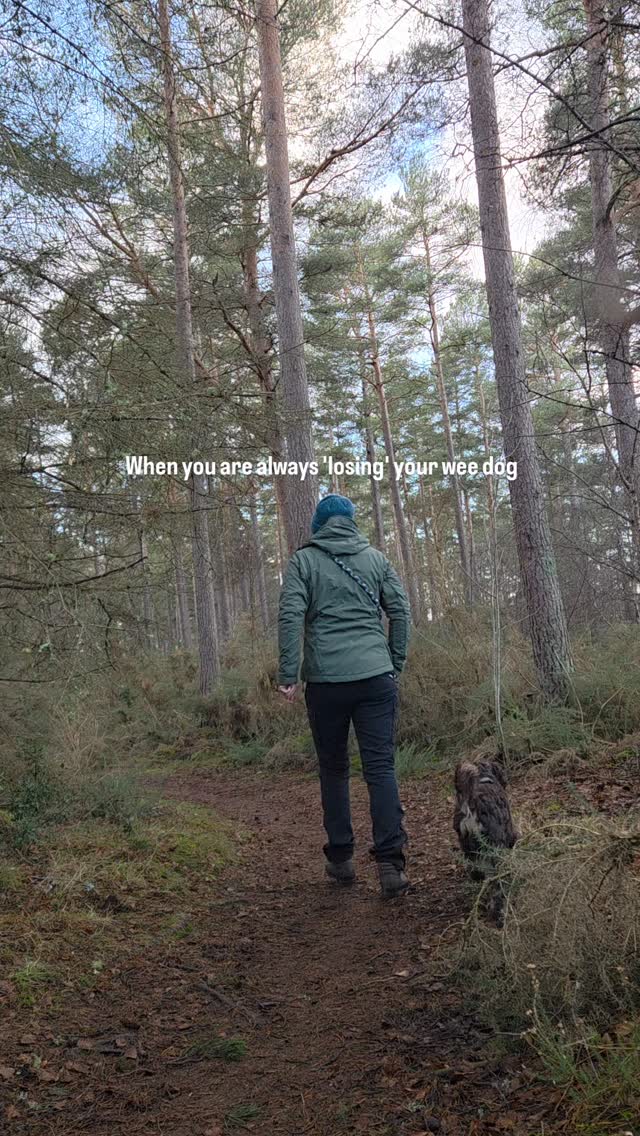 I am ashamed to admit the amount of times I've called Jacob only to turn around to him looking at me as if I'm an idiot.
#dogs #funnydog #dogtraineruk #cockapoo #loveyourdog