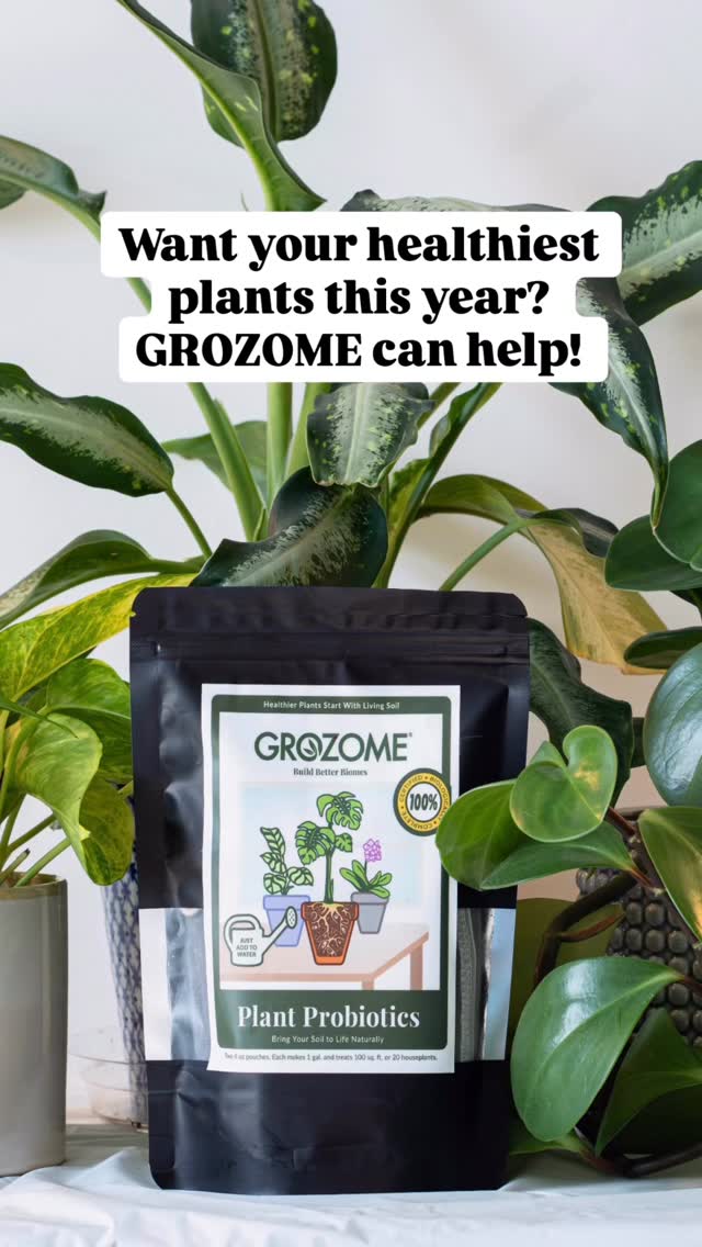 Sad plants.
Happy plants.
New plants. Old plants.
Same goal: healthier growth đż
Letâs make this the year your plants actually thrive. Grab the link in our bio âŹïž
#soilhealth #livingsoil #soilbiology #plantcare #healthysoil