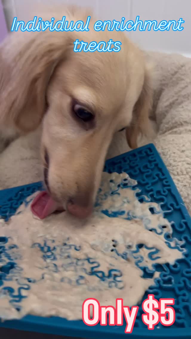 Big play days are fun… but even social butterflies need a little “me time.” 🐶
Our individual enrichment lick mats are the perfect way to give your pup a calm, rewarding brain workout while they’re at daycare. For just $5 each, your dog can enjoy one of 5 tasty, tail-wagging flavours designed to keep them happily occupied.
Why we love them (and why your dog will too):
🦴 Encourages calm behaviour and helps dogs settle
🦴 Provides mental stimulation because a tired brain = a happy dog
🦴 Supports positive solo time, building confidence and independence
🦴 Great for reducing boredom and overstimulation
🦴 A delicious, satisfying treat that turns downtime into enrichment time
It’s not just a snack… it’s self care for sophisticated canines. Add one to your pup’s next daycare visit and let the licking do the relaxing.
#DoggyDaycareLife #EnrichmentForDogs #HappyTiredDogs #DogWellbeing #SpoiledPups