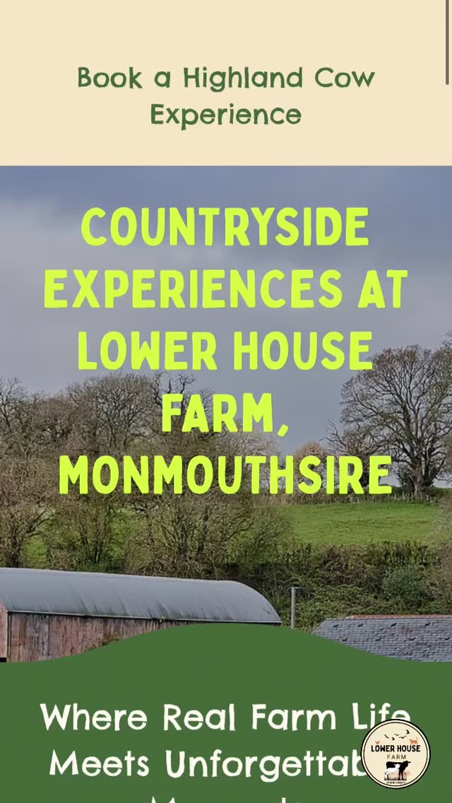 🪄www.lowerhousefarmwales.com has had a little makeover courtesy of @khwebdesign (Laura did her best but she’s no web designer!)✨
Please take a look 👀
We’ve given it a spring clean 🧼
✨read our story to farming,
✨book our experiences and seasonal events ✨place orders for items in our farm shop to collect
✨ read about other people’s vists
✨ Get in touch / keep up to date
We hope you like it! ☺️
#lowerhousefarmwales #farmshop #tenantfarm #farmexperiences
