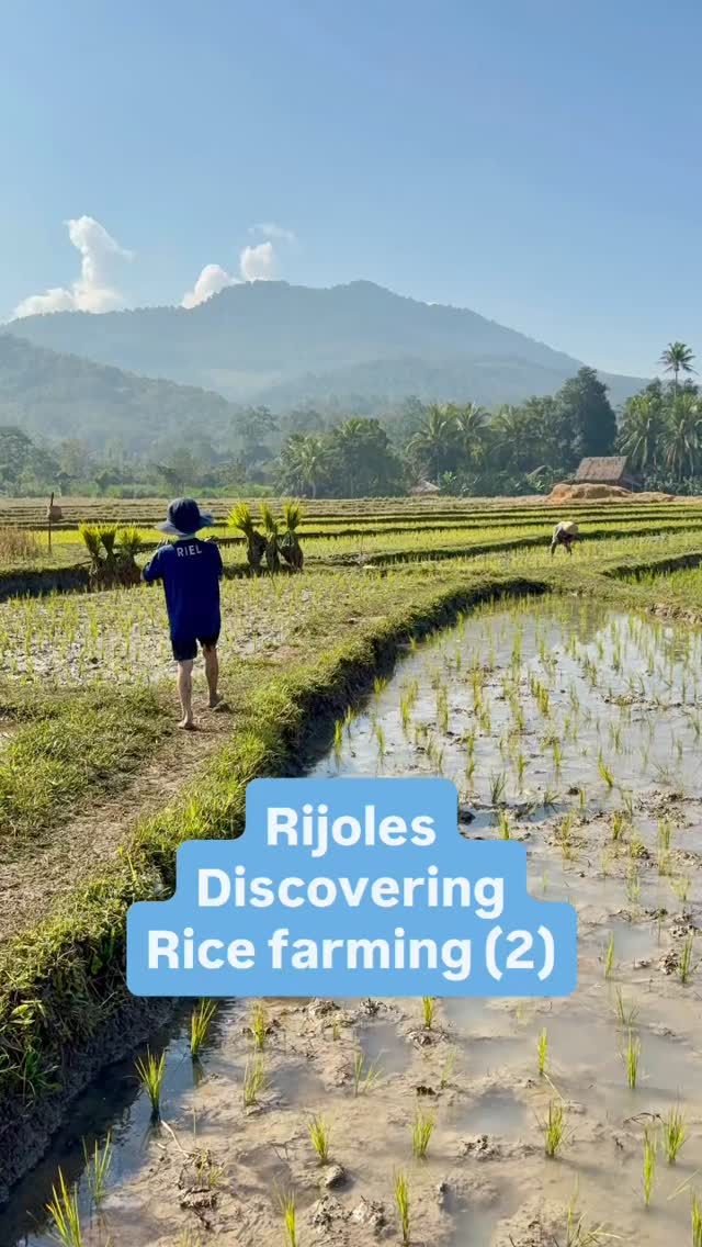Living Land Rice Farm, Luang Prabang, Laos.