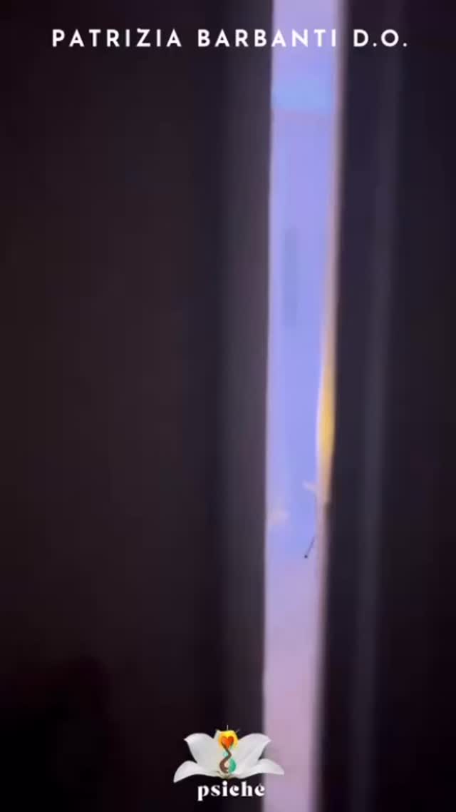 L’approccio di Patrizia Barbanti.. Osteopata e Naturopata!!
Durante gli appuntamenti mette al servizio del paziente la sua esperienza pluridecennale per portare benessere e guarigione.
Fondamentale in certi casi iniziare un percorso fissando un appuntamento mensile, per ottenere il risultato.
Se sei interessata/o chiedici di ricevere info sul suo metodo di lavoro, per una specifica patologia o semplicemente per una problematica che vuoi affrontare.
Seguici sui socia per scoprire le date, oppure scrivici su whatsapp.
A presto #psichestudioolisticointegrato #benessere #naturopatia #osteopatia #massoterapia