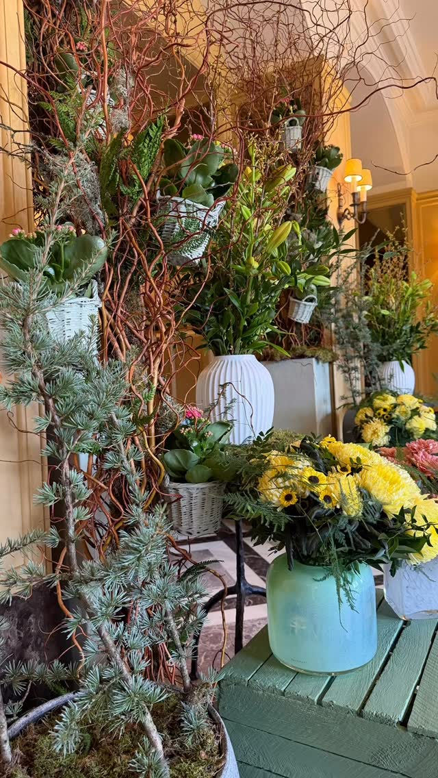 Spring is just around the corner 😊
#springflowers #blomsterdekoratör #florals #fourseasonshampshire #hotelflorist