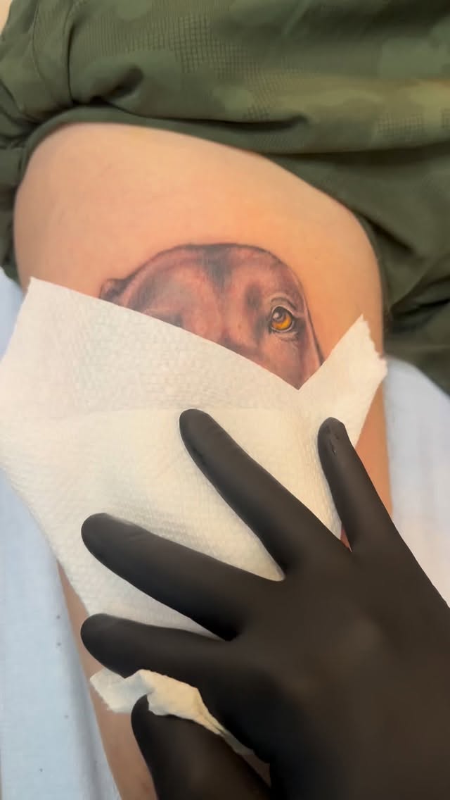 Super fun puppy portrait from the other day!! Also this was my customers first tattoo!!!! Not a bad choice for a first tattoo
#puppy #dogportraits #tattoo
@luckysupplyusa @eternalink @truetubes @inkmaster @afterinked @afterinkedcolombia @electricgoldonparkblvd @kingpintattoosupply