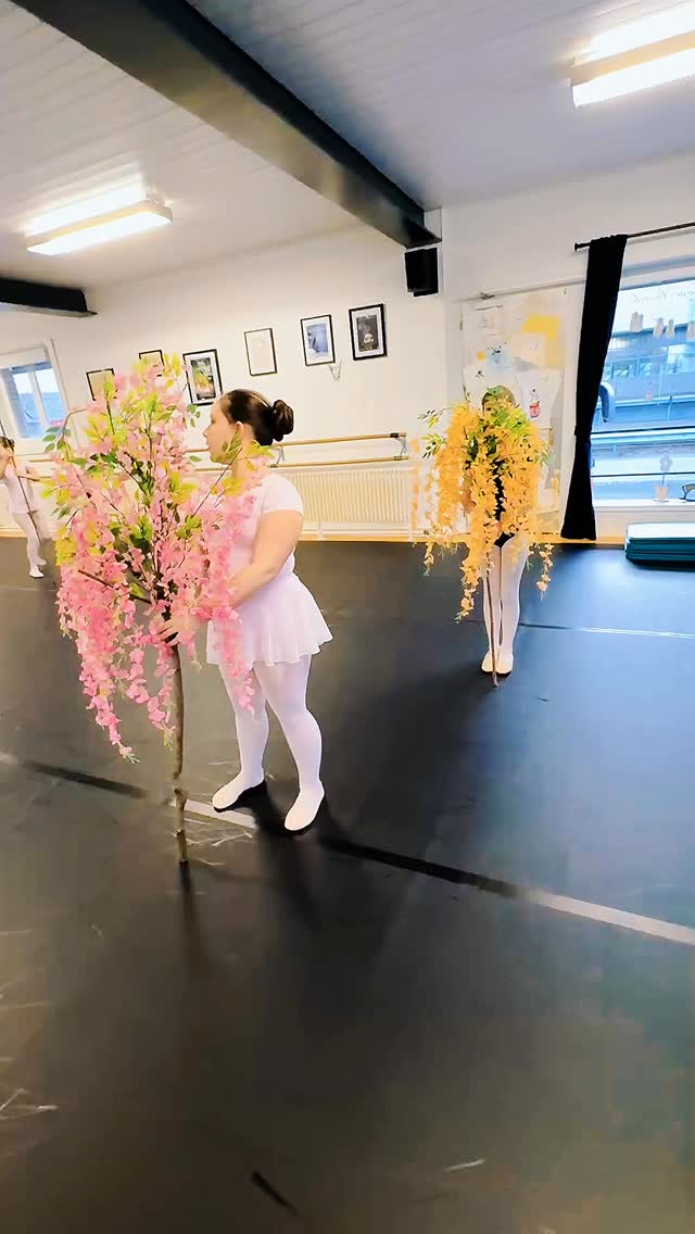Preparing #emeraldreams
Der Aura Wald in Thal‘Emeris entsteht💕 Bunt, magisch und zauberhaft✨
#balletschoolbarbarabortoli #utzenstorf #comingsoon #stagetime