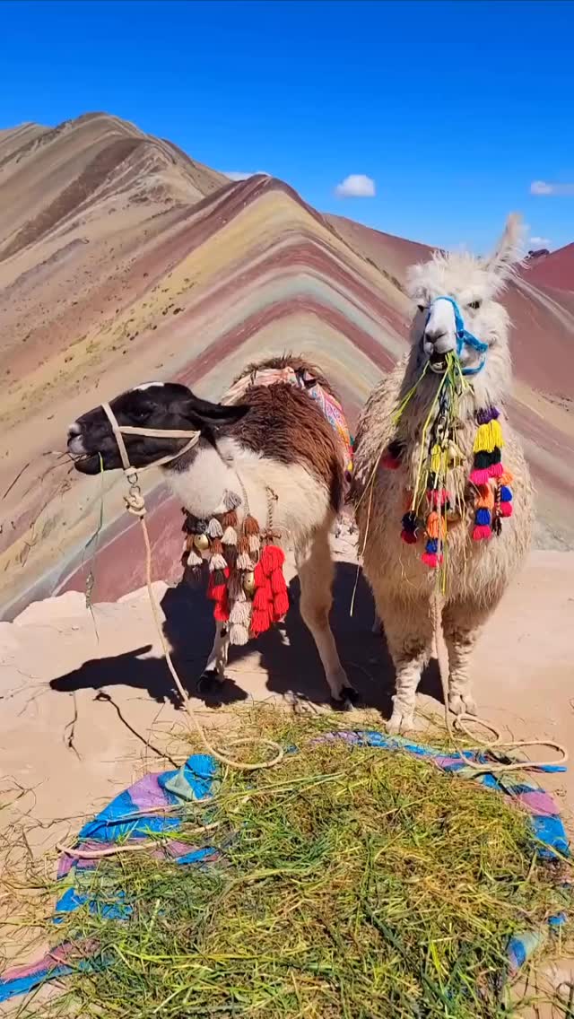 Turns out Google Maps doesn’t book moments like this. You need a plan 💡 We can help you with that ✈️
#jetlister #fora #travel #peru #traveladvisor
