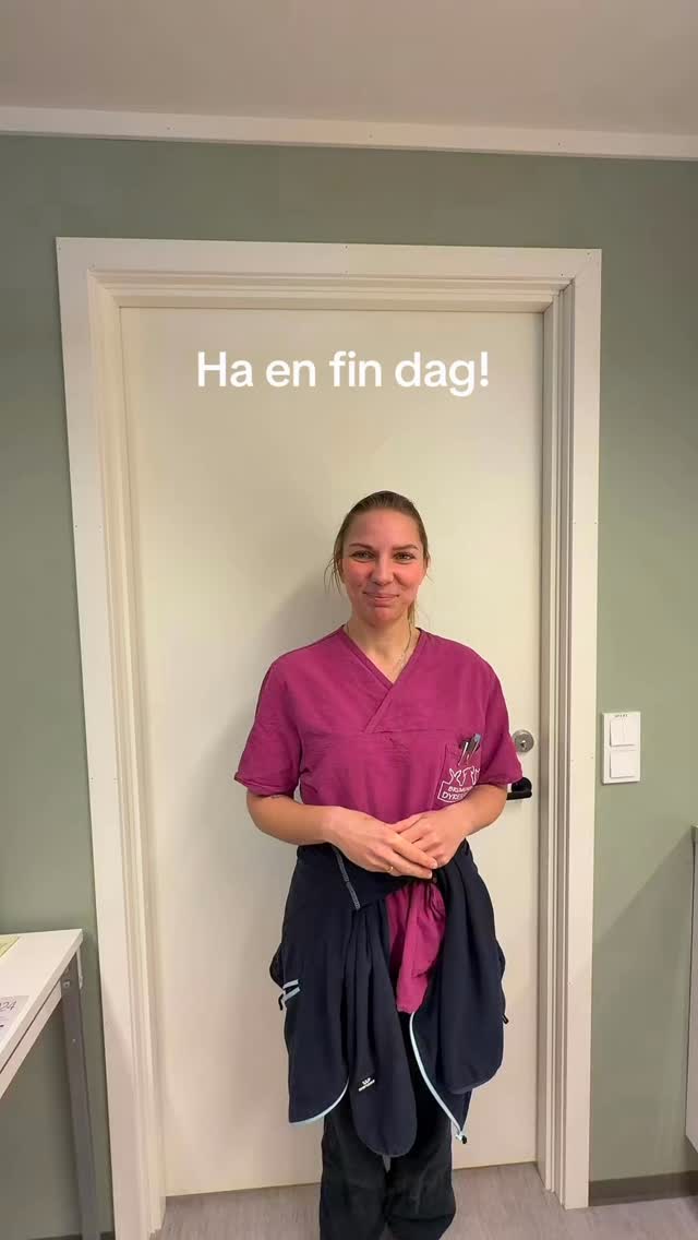 Bemanningen er på topp i dag 🐶