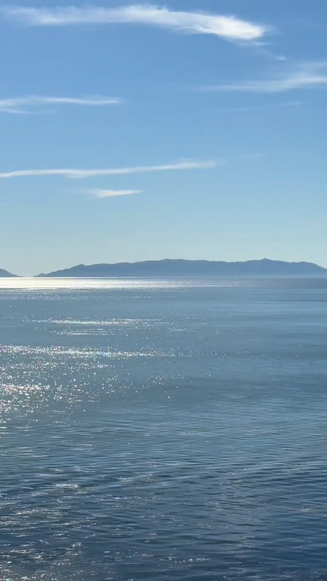 Offered at $1,400,000. š”
š3609 S Parker St
San Pedro, CA 90731
Listed by Michael Harper
HH Coastal RE No. 1381971
#sanpedro #sanpedrorealestate #oceanviewhome #socalrealtor #sanpedrocalifornia