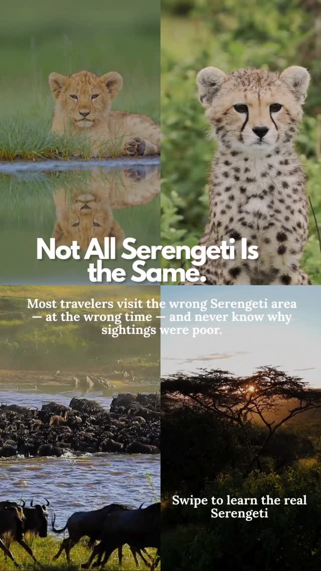 What makes a Serengeti safari truly unforgettable? 🌟 It’s not just about the wildlife; it’s about being in the right place at the right time. Central Serengeti is perfect for year-round action, Northern Serengeti is all about the river crossings (July-October), and Western Serengeti is the place to be for a wild May to June. One park, endless possibilities. Let Gnade Safaris guide you to the heart of Serengeti. 📩 DM now! #SerengetiSafari #TanzaniaSafari #SafariPlanning #GreatMigration #AfricanSafari