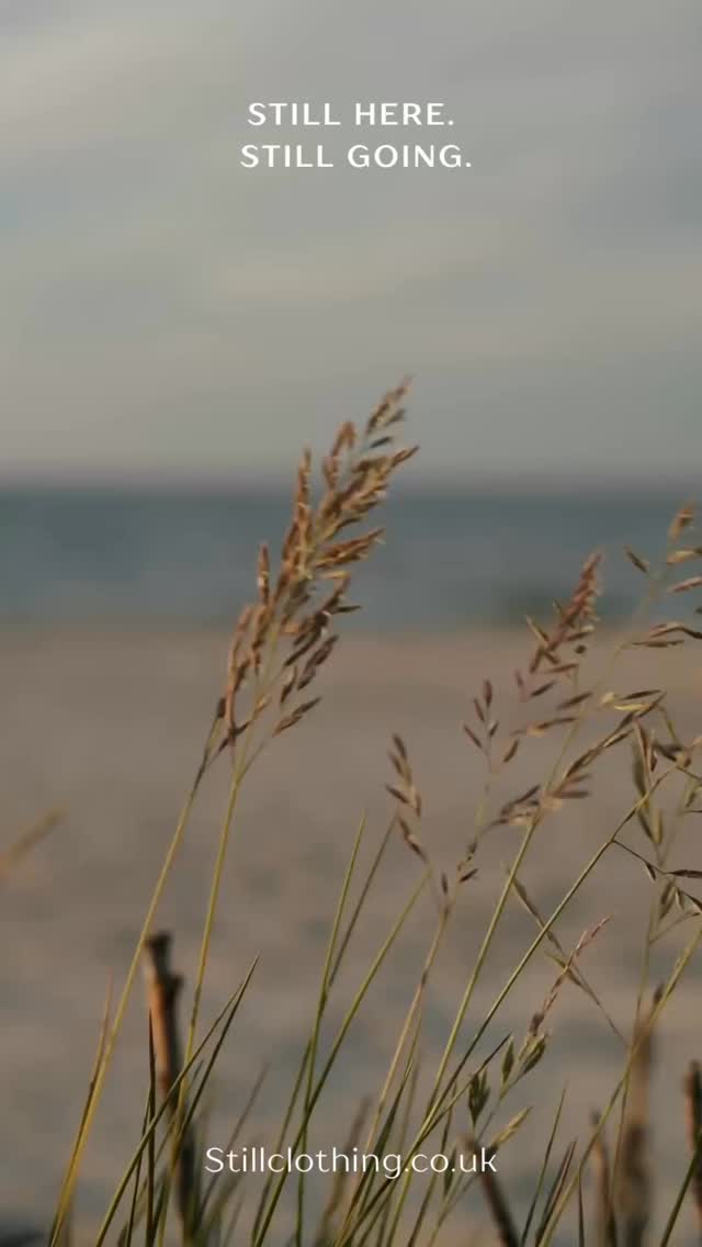 Take a breathe. The year is still young.
Even if January was bad, there is 11 months ahead.
One day at a time. Still Here đ¤
#yearisyoung #mentalhealth #stillhere #onedayatatime #fyp