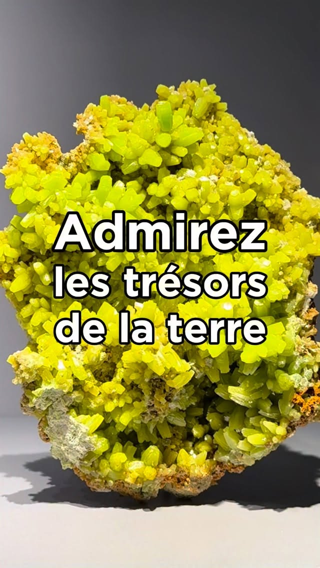 De style néoclassique et longue de près de 200 mètres, la Galerie de Minéralogie abrite aujourd’hui la salle des Trésors de la Terre. À l’intérieur, on découvre l’une des collections de minéraux les plus riches au monde composée de roches spectaculaires, de cristaux géants, et même de météorites. Au centre, une vingtaine de cristaux gigantesque vieux plusieurs milliers, voire millions d’années, attirent tous les regards.
De chaque côté, des espaces thématiques permettent de comprendre comment reconnaître les minéraux. Comme pour les plantes ou les animaux, il existe des “espèces”, et on les identifie grâce à plusieurs indices : composition chimique, forme des cristaux et couleurs. On s’émerveille aussi devant des gemmes et des bijoux, comme le célèbre diamant bleu de Louis XIV. Rendez-vous à la Galerie de Géologie et de Minéralogie du Jardin des Plantes pour découvrir ces trésors.
————————
📍Jardin des Plantes
36 rue Geoffroy Saint-Hilaire, 75005 Paris
Ouvert tous les jours de 10h à 17h, sauf les mardis
Plein tarif : 9€ - Tarif réduit : 7€ - Gratuit -26 ans
#mineralogie #jardindesplantes #museumdhistoirenaturelle #pierresnaturelles #parissecret