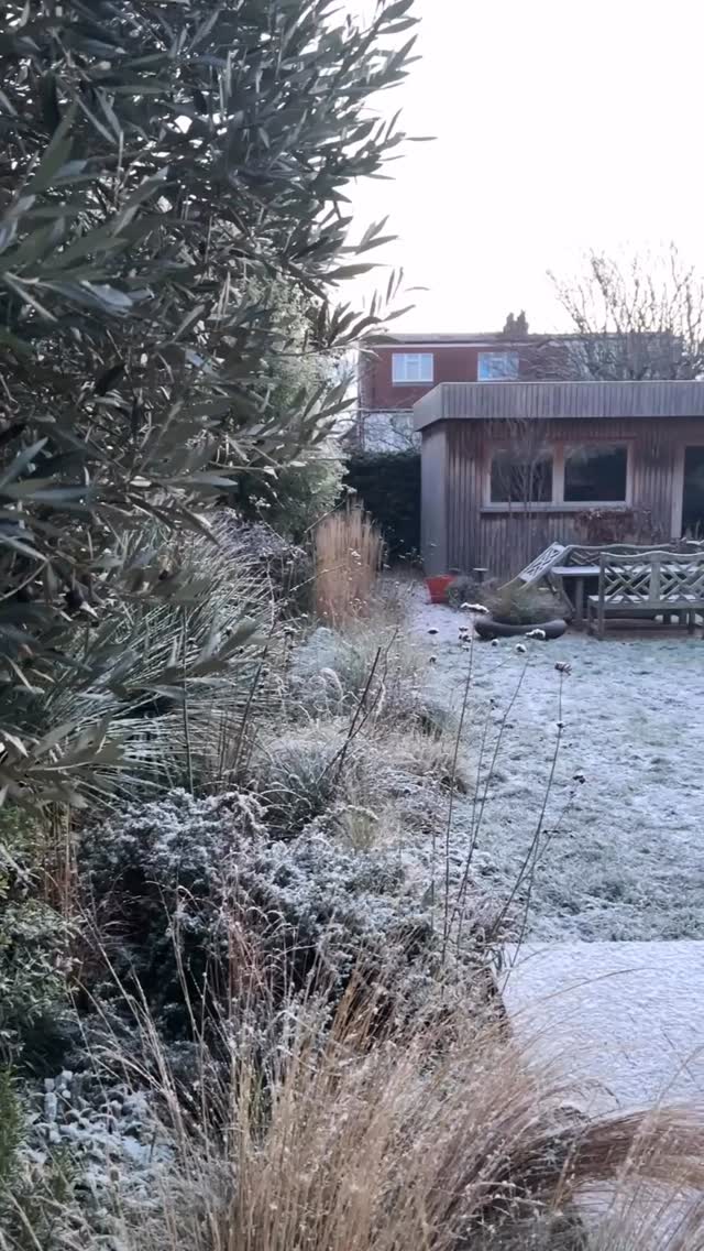 Winter planting inspiration: structure, resilience and long-term thinking. Some from my garden and from @wakehurst_kew Winter Garden. Start thinking about how you’d like your garden to look next winter. The best gardens are designed months - even years - before they’re enjoyed.
⸻
ABOUT: Joe Perkins Design is a multi-award-winning landscape design consultancy, creating innovative outdoor spaces that celebrate the environment, wildlife, and biodiversity. Working across the UK and internationally, we partner with clients who share our passion for sustainable and visionary design. Discover more about our work at: www.joeperkinsdesign.com