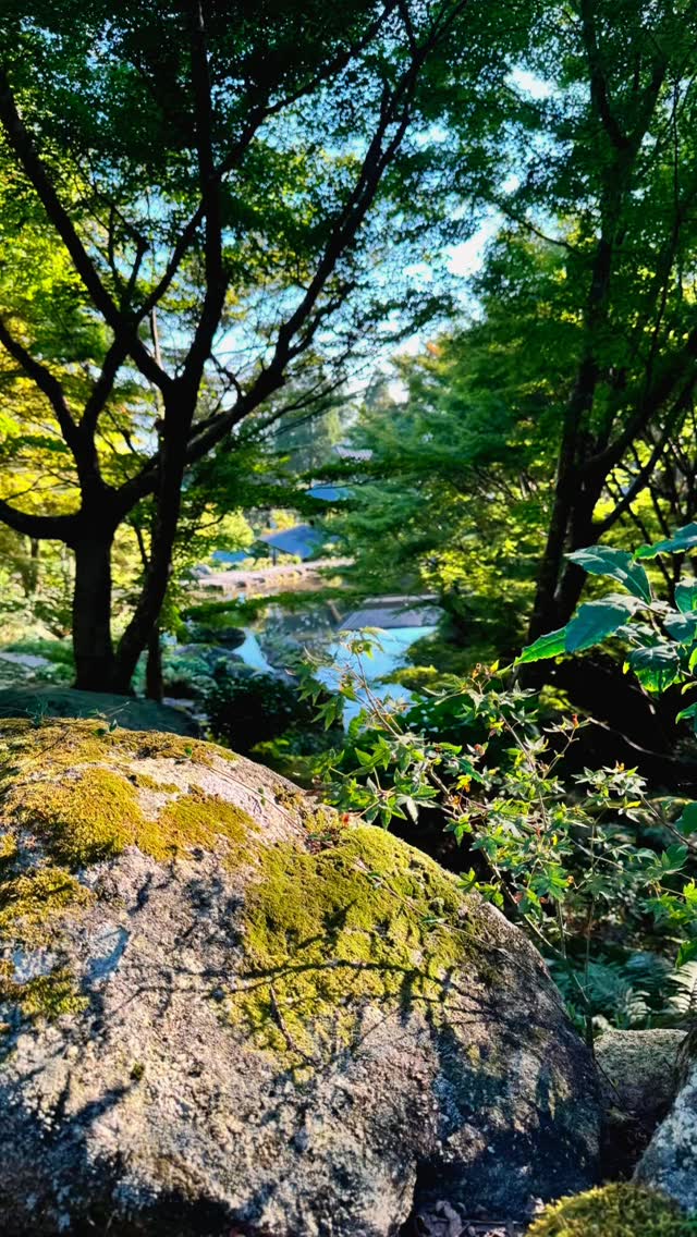 「和」
#造園 #福岡 #剪定 #草刈