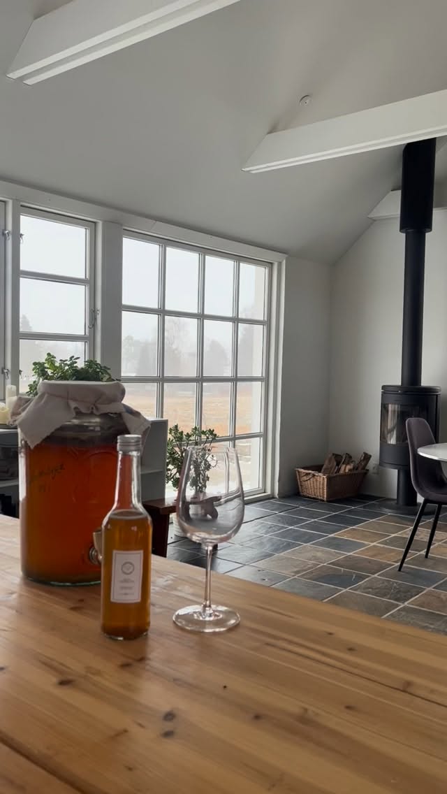 Den sidste flaske julekombucha ✨
Et lille glas, der minder mig om, hvorfor jeg laver kombucha igen og igen.
Jeg drikker den ikke kun fordi den er lækker – den giver min krop noget, den har behov:
ro i maven, støtte til fordøjelsen og en følelse af balance indefra.
Kombucha er ikke en hurtig fix.
Det er daglig omsorg.
Nu ryger to nye bryg på flaske, og hvis du er nysgerrig på selv at lære kunsten,
så inviterer jeg dig med på kombucha-workshop d 14/2 på Tuse Næs.
Hyggeligt, praktisk og helt nede i tempo.
Skriv for mere info 💚