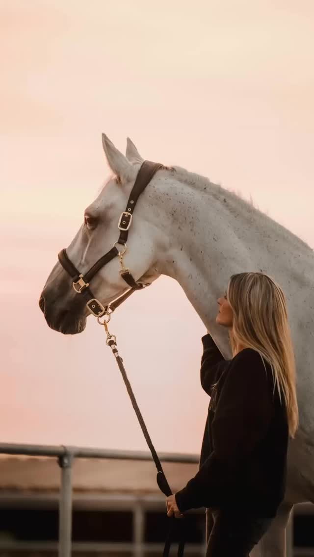 Because your horse deserves more than standard🤍
KLEA Heart Halfter
✔️ personalized
✔️ vegan
✔️ crafted with love
Custom. Conscious. Beautiful. 🐴✨