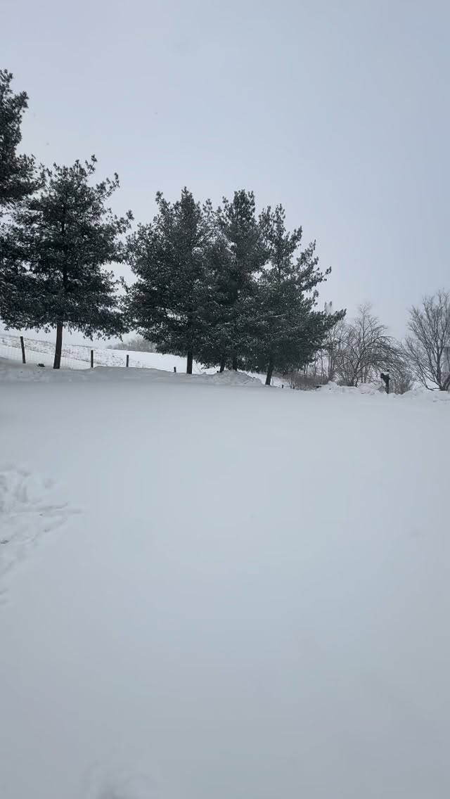 We are Nordic Bliss! We love to play in the snow and steam afterwards :) if you looking for a perfect ending to a perfect winter day in NRV area? We got you!
#saunarental #blacksburgva #christiansburgva