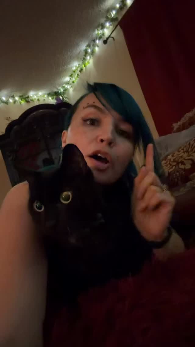 Calcifer kept yowling until I cuddled him so he is also in this video. #wotd #word #learning #author