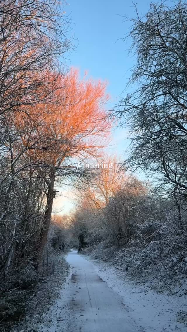 2026 Wintering Season✨ New clients, projects and systems🥰🚀