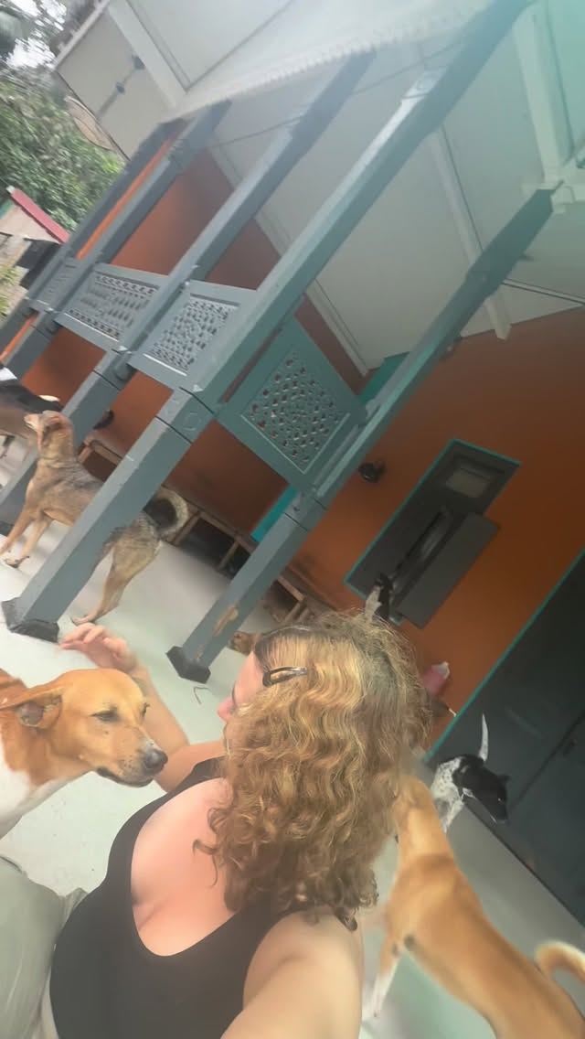 When their only craving is love⌠and they finally feel safe enough to ask for it đ¤đś#AdoptDontShop
#RescueDogs
#AnimalRescue
#DogRescue
#ShelterDog
#RescueLove
#FureverHome
#DogsofInstagram
#InstaDog
#RescueIsMyFavoriteBreed
#SupportYourShelter
#DonateForDogs
#HelpUsHelpThem
#GiveBackToDogs
#MakeADogsDay
#ShelterSupport
#bethechange
#dogsofsrilanka
#catsofsrilanka
#communitycare
#animalwelfare