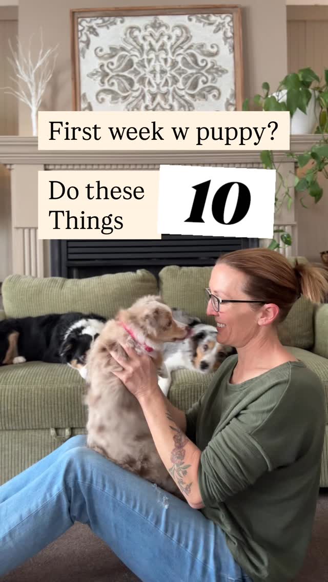 10/10 nailed it: the first-week puppy setup list 😌🐶
This isn’t “teach every skill in 7 days.” This is “set the stage so your puppy doesn’t audition to run your household.”
Save it—future you will be grateful. 🙌🏼🐾
.
.
#aussiepuppylove #puppytips #newpuppymom #puppychecklist #puppyparents