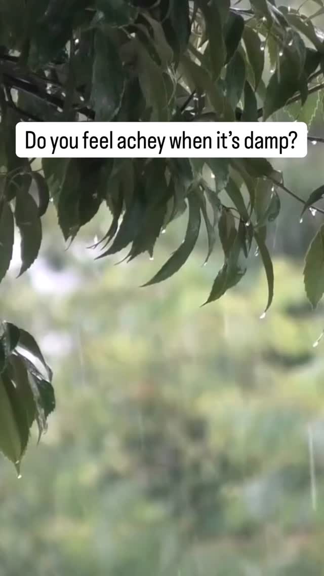 If you feel more stiff and achey in rainy weather you are not alone!!
Our bodies are sensitive to changes in pressure and temperature
What helps: gentle movement, warmth, antiinflammatory dietary patterns, supporting joint health
#nutritionaltherapy
#enoughwiththerain