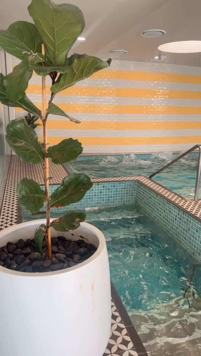 Experience all the elements here at Sirene Spa Shoal Bay 🧖🏼♀️ choose your relaxation treatment followed by a complimentary swim and spa 🩵