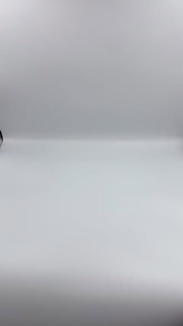 Have you seen our colour ring?
Perfect size tabs for easy colour matching 😍
Click the link in our bio to shop now 🤎
#clipins #humanhair #hairextensions #hair #hairdresser