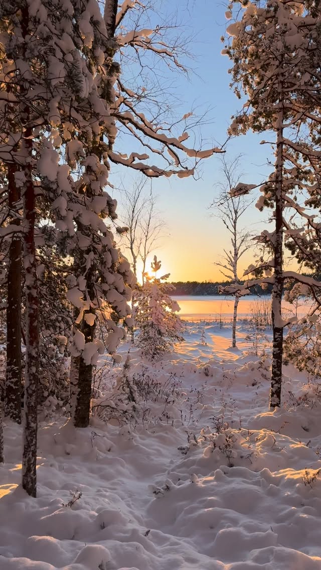 A little nature therapy goes a long way 🌿
#natureandnourish #wintermagic #naturemoments